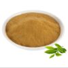 عصاره چای سبز